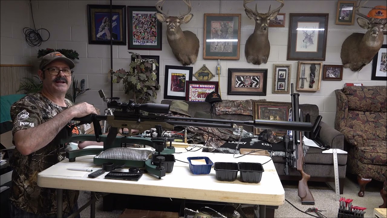 Western Bush Pig 45