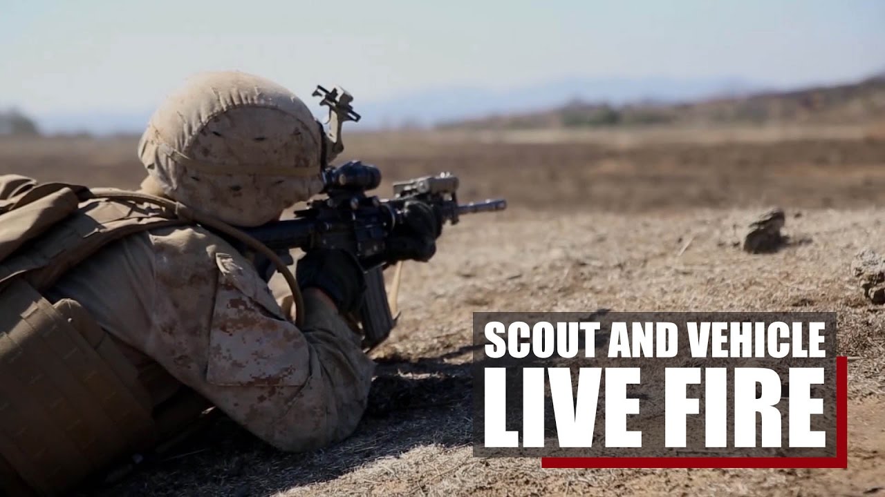 Live Fire Training | 1st MARDIV trains for the fight