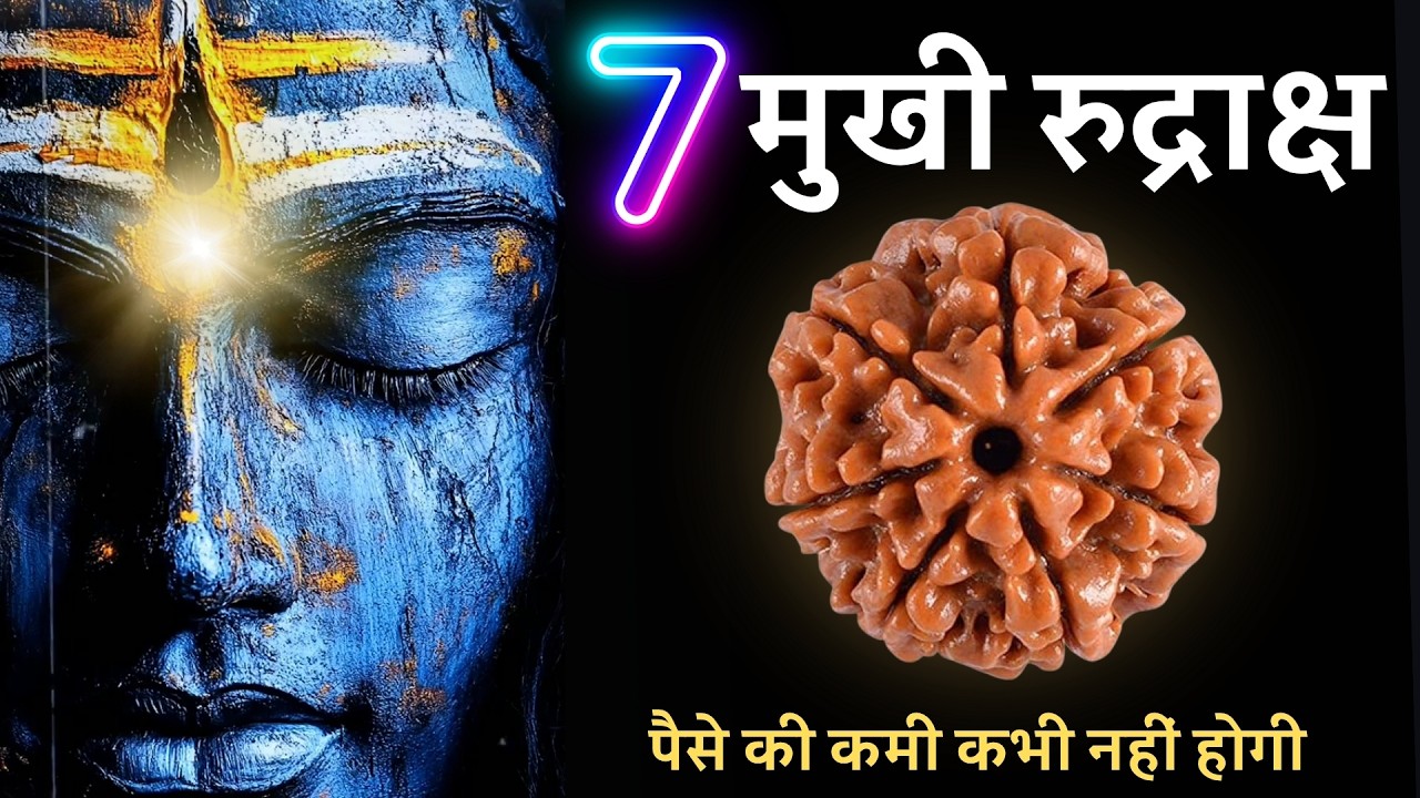 7 mukhi rudraksha | 7 mukhi rudraksha benefits | saat mukhi rudraksha | seven mukhi rudraksha