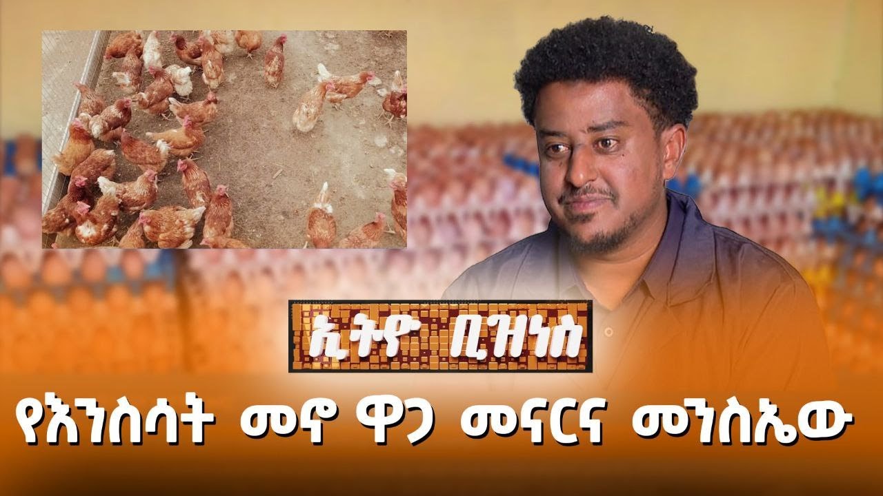 የእንስሳት መኖ ዋጋ መናርና መንስኤው //Ethio Business//