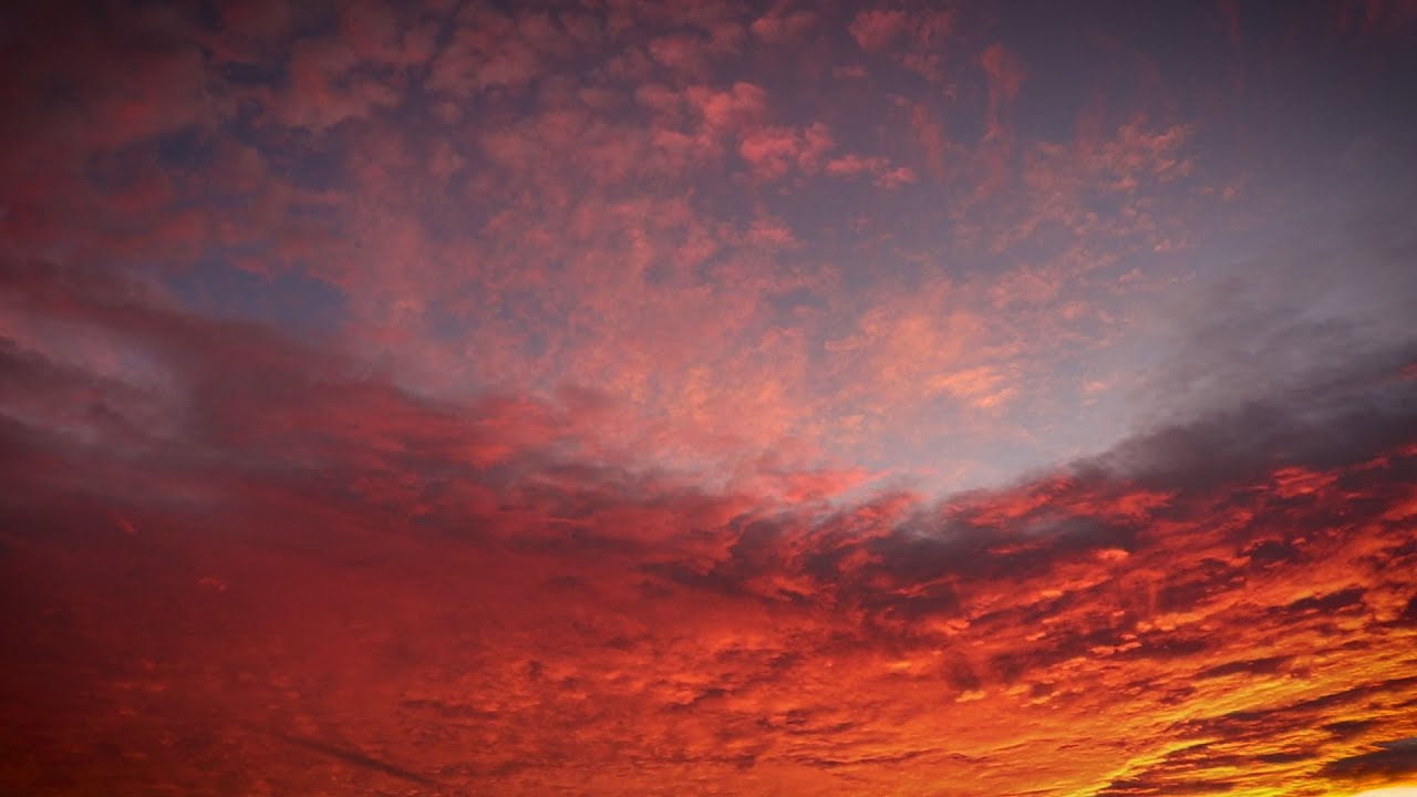 David Haerle - The Free Show (Official Music Video)