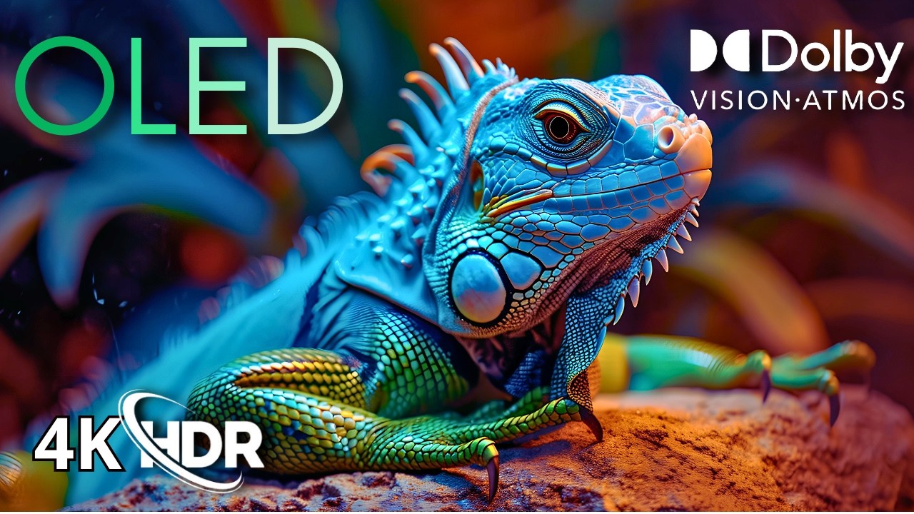 OLED Perfection in 4K HDR | Dolby Vision Cinematic Demo [60FPS]
