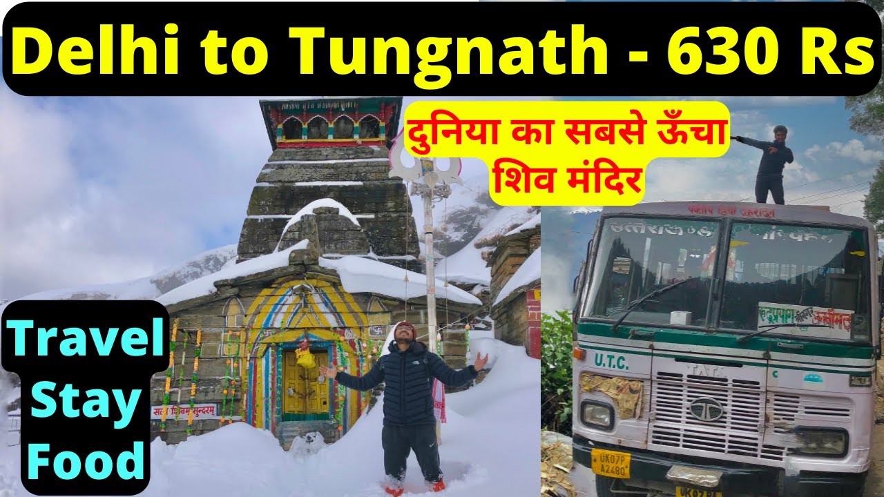 Delhi to Tungnath Temple in 630 Rs | Travel | Stay | Food | 2022