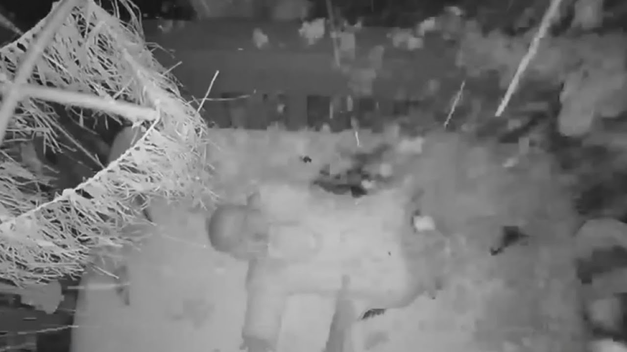 Falling Tree Nearly Hits Sleeping Infant In Louisiana