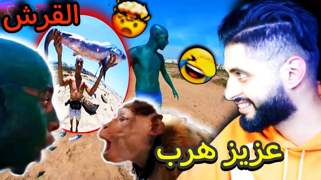 فيديو هارب مع bn nsns قرش معمر ب🍒صبغ راسو بالأخضر عزيز خاف و هرب 🤯🤣 muslim 333 خونا سبيطار