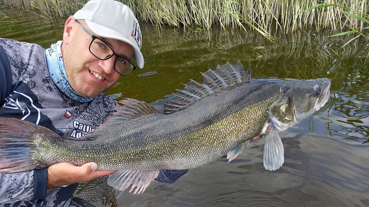 Wędziska sandaczowe: CXT SF-X & CXT FC-X