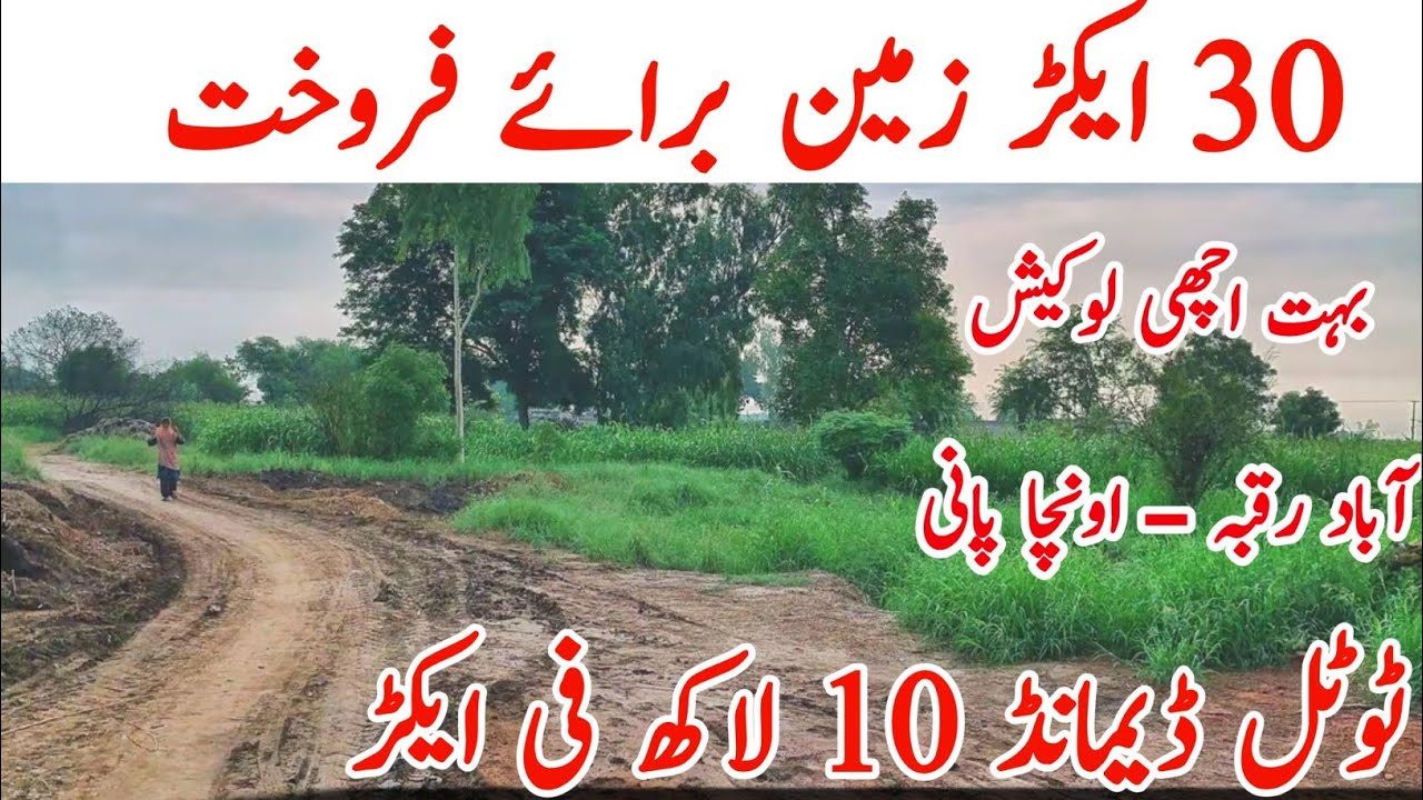 30 Acre Agriculture land for sale in Punjab Pakistan | agriculture land for sale | zameen for sale