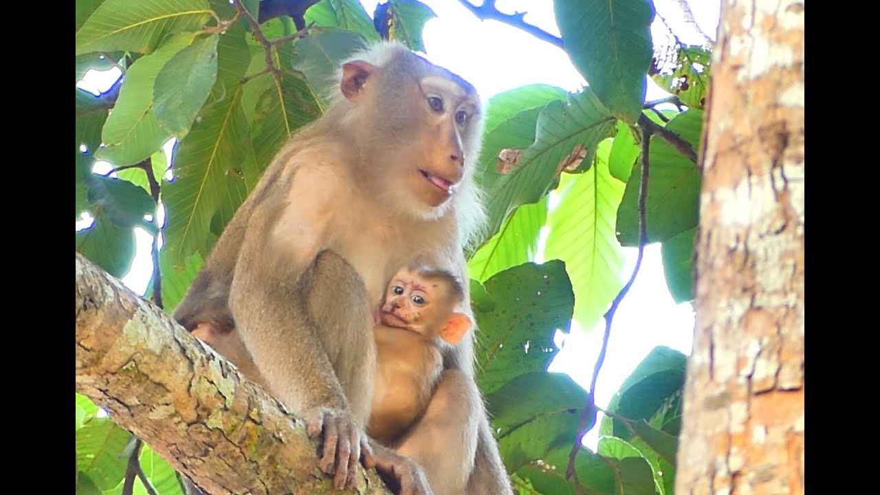 Libby take care little monkey Lily !