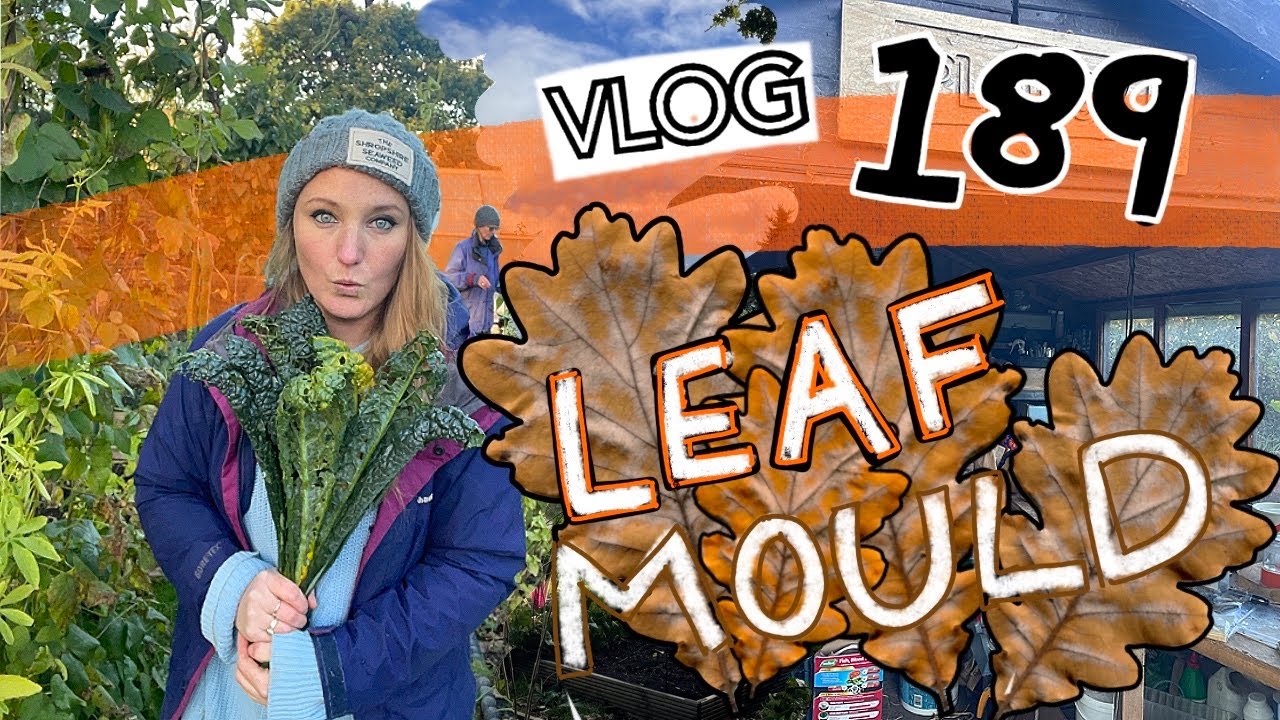 The Wonders of Leaf Mould! November on the Allotment. Ep189 || Plot 37