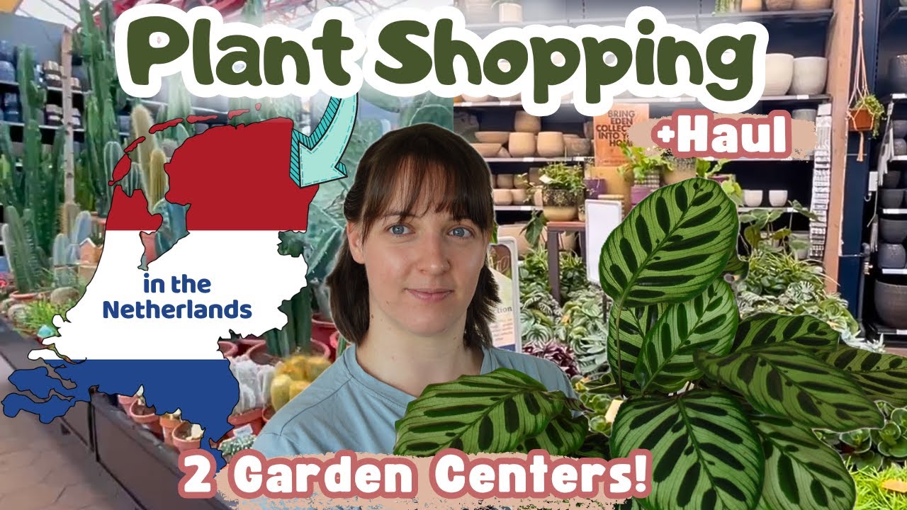 Plant Shopping In The Netherlands📍🇳🇱2 Garden Centers + Plant Haul 🪴