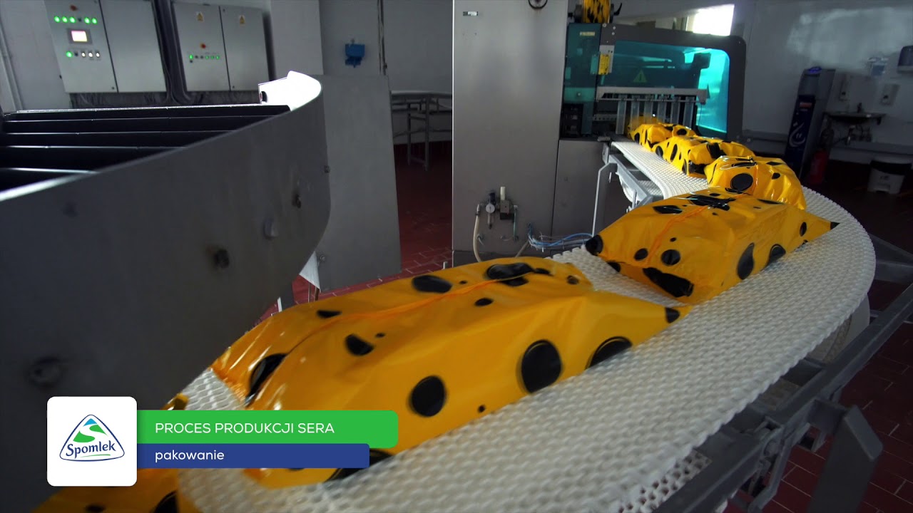 Proces powstawania sera