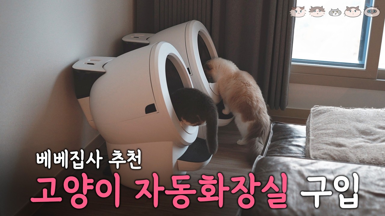 이것은 신세계..! ㅣ내돈내산 | 리터로봇4