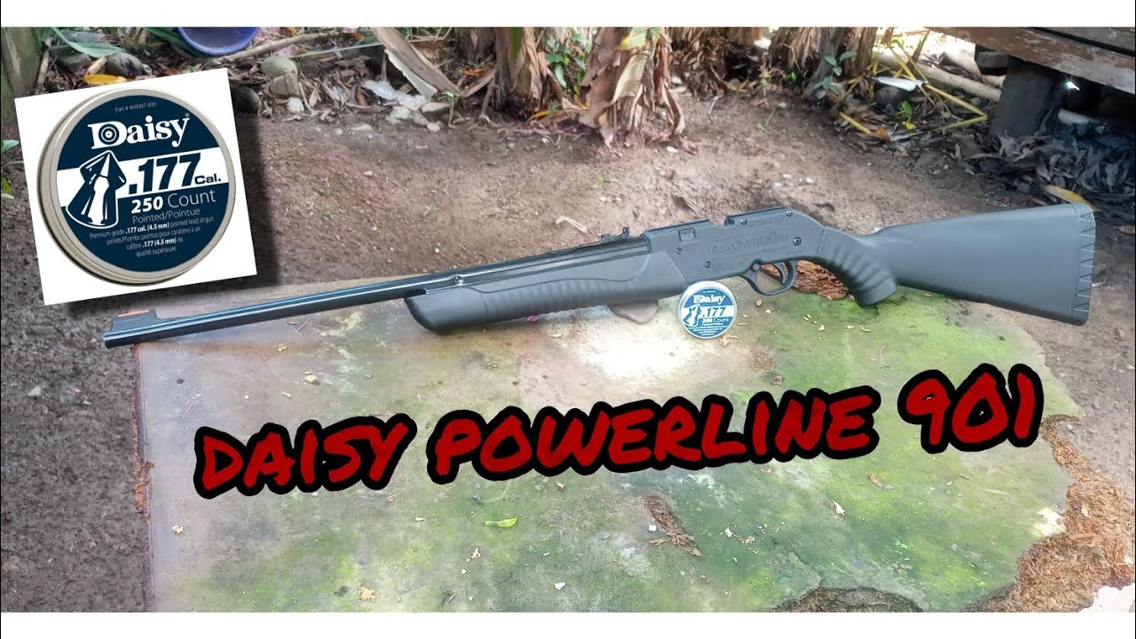 (daisy powerline model 901) rifle de multi bombeo comparación con el daisy 35 y 880 y potencia