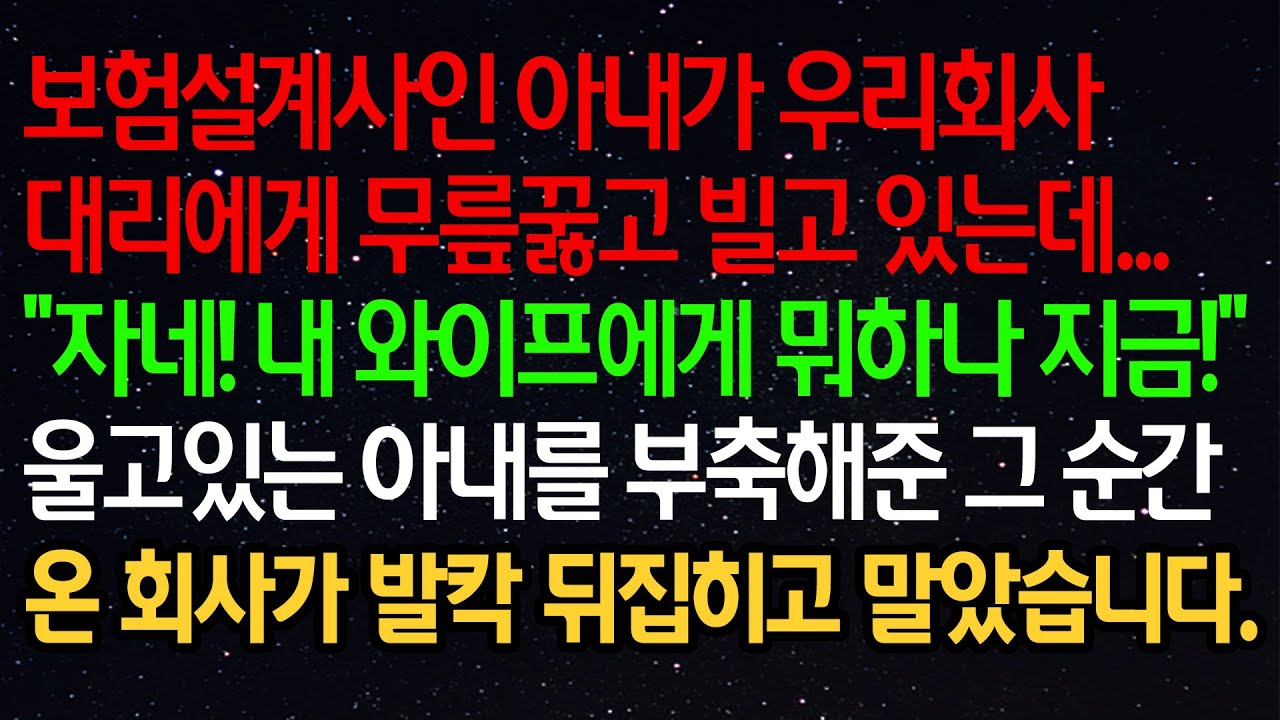 실화사연- 보험설계사인 아내가 우리회사 대리에게 무릎꿇고 빌고 있는데..