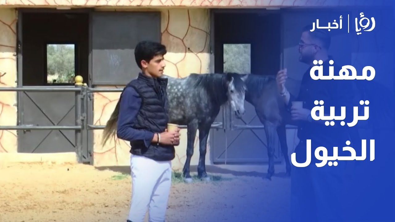 عبدالعزيز الفايز.. مهنة تربية الخيول بين شغف التراث وضغوطات الحاضر