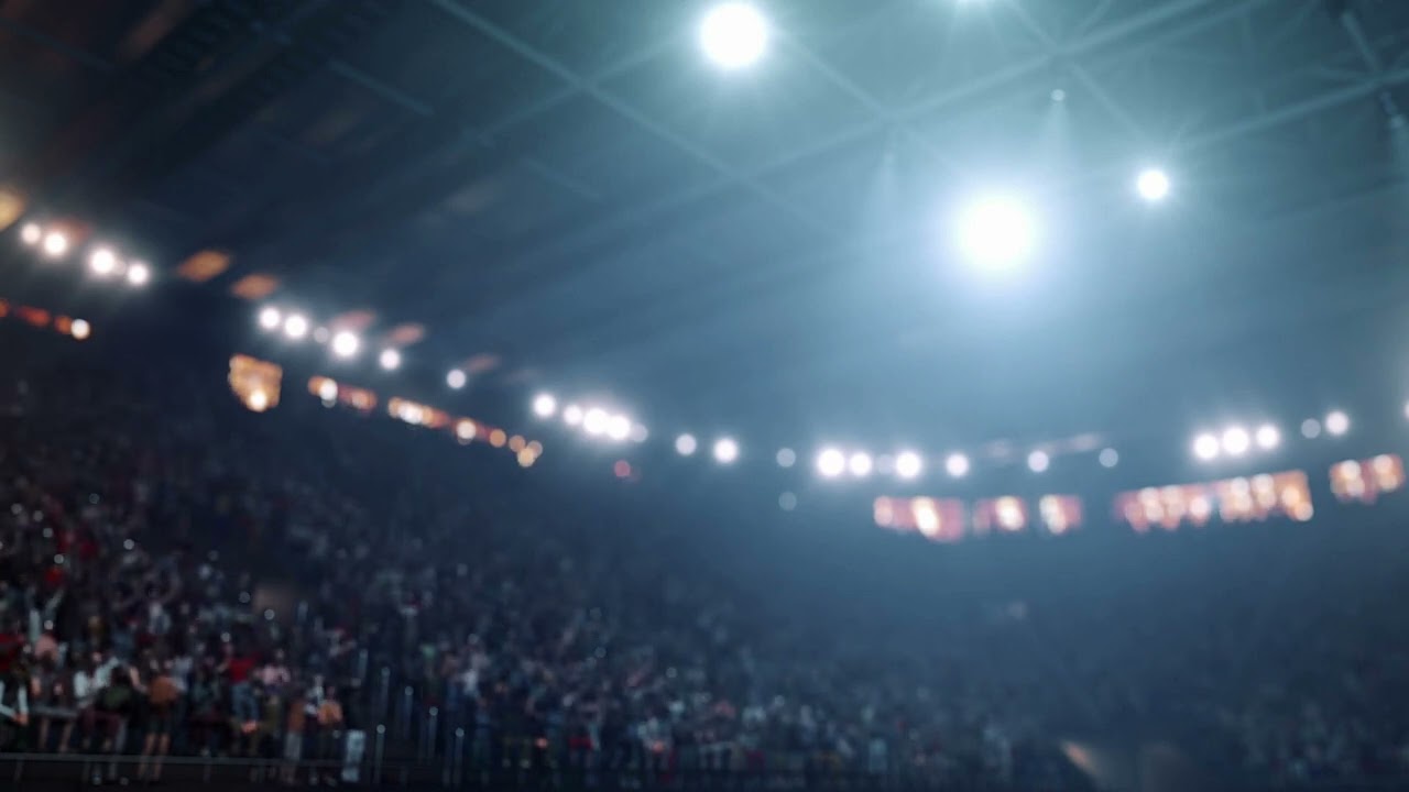 Thrilling Professional Hockey Game Ambience - Enjoy the Crowds and Excitement on the Ice