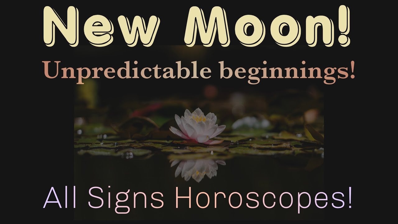 August 23rd New Moon 🌙 Massive Reset - What Each Zodiac Sign MUST Know ✨