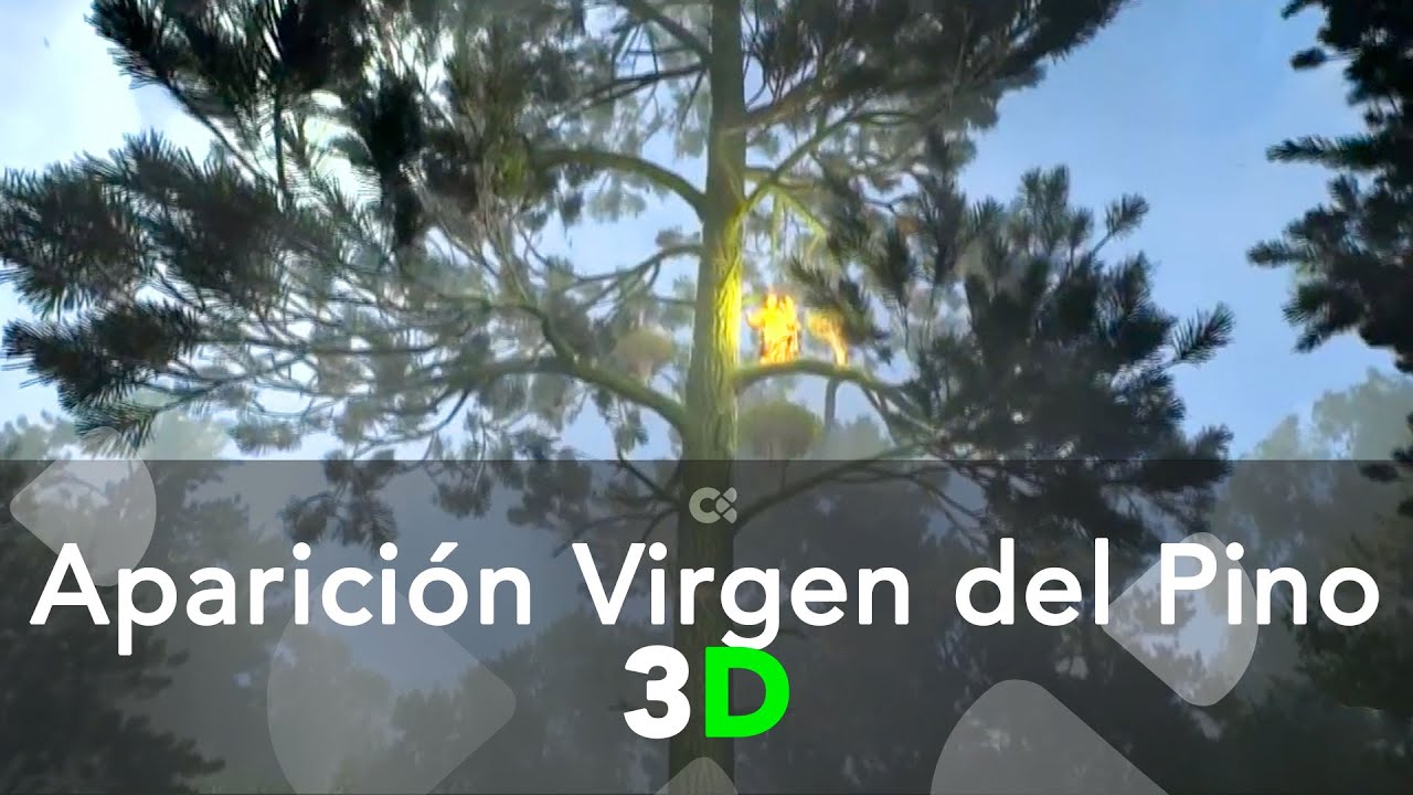 Aparición Virgen del Pino | 3D