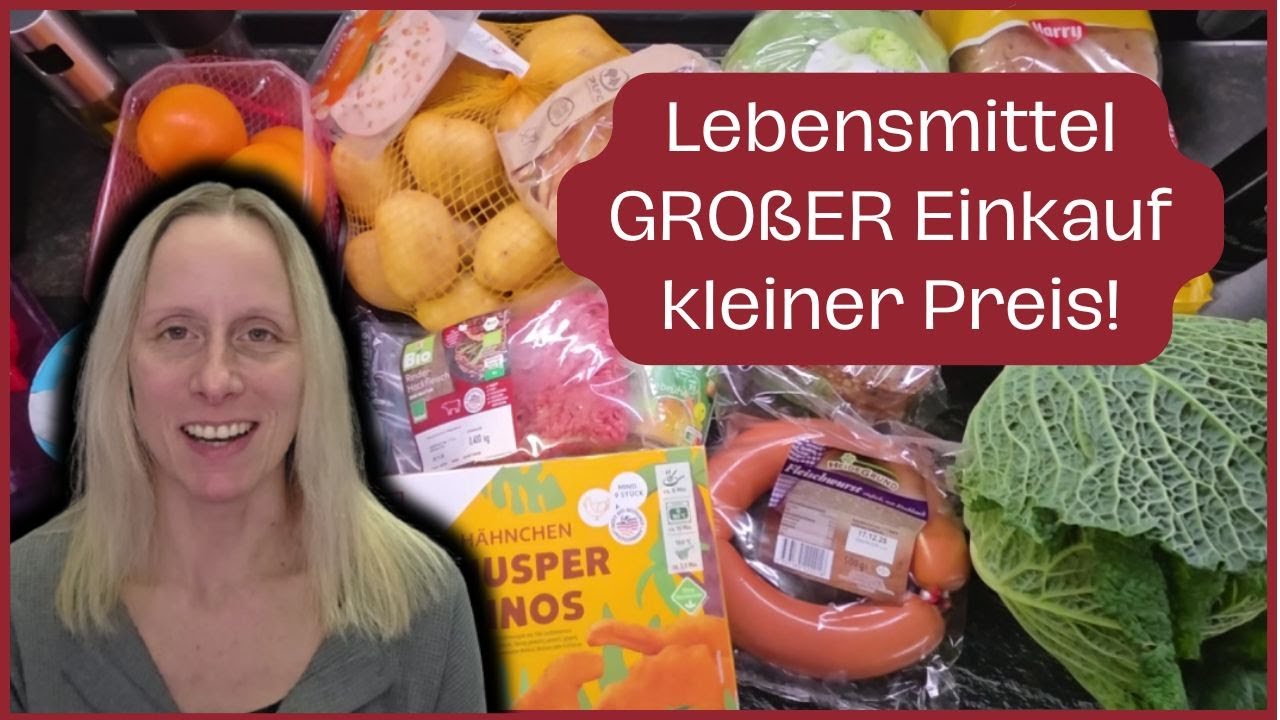 SPAREN großer Einkaufs Haul kleiner Preis unter 30€ 😮 Lebensmittel VORRAT #budgeting #vlog #foodhaul