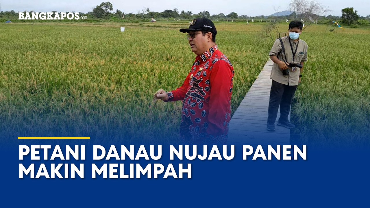 Pemkab Beltim Dorong Petani Danau Nujau Lipat Gandakan Hasil Bumi, Bupati: Dari 3,5 Ton jadi 6 Ton
