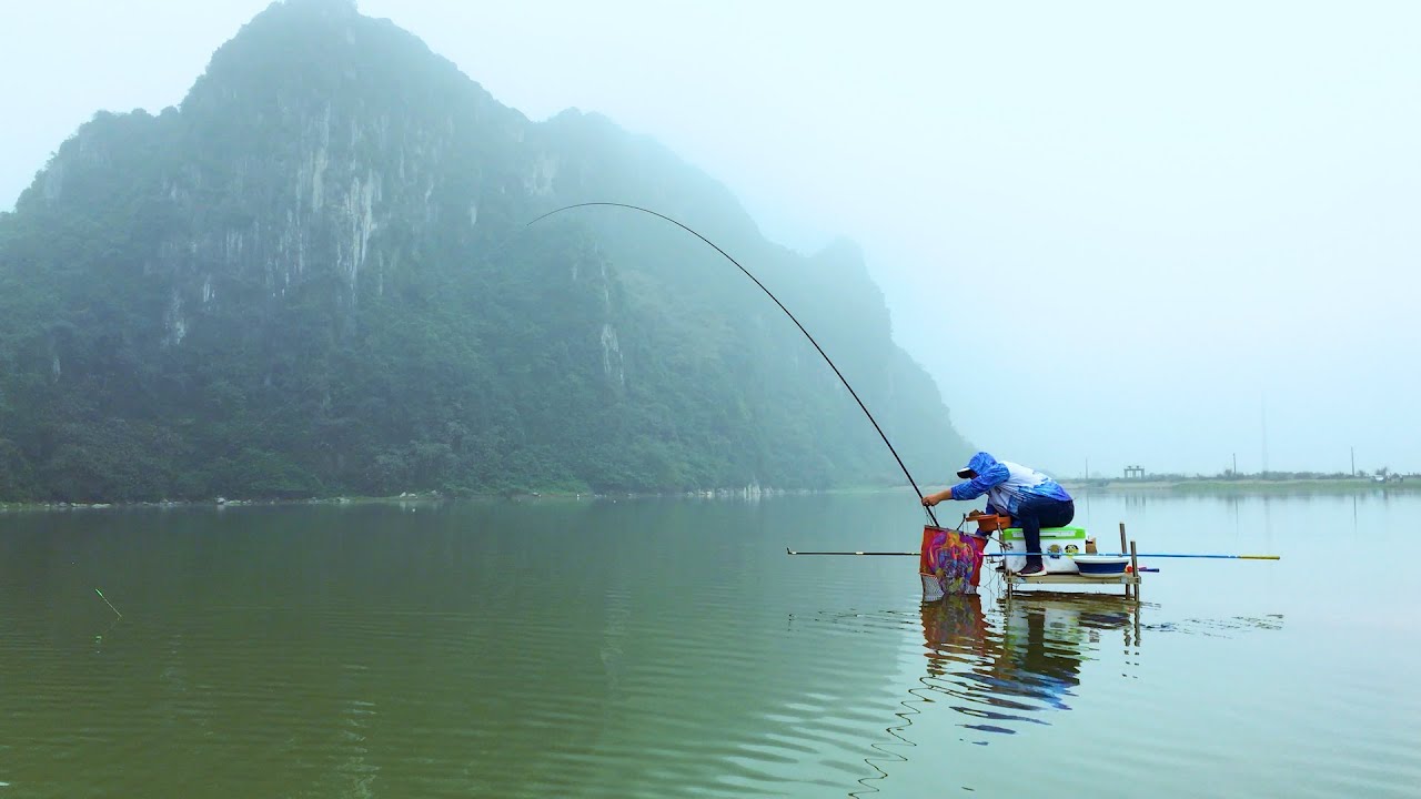 CÂU CÁ RÔ TỰ NHIÊN nhưng Cá Trôi phá quá! Wild Fishing!