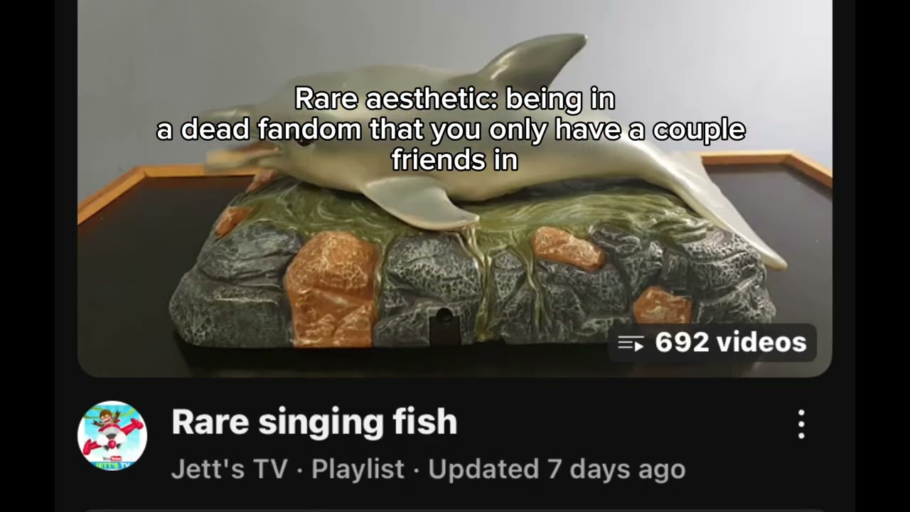 Rare aesthetic meme