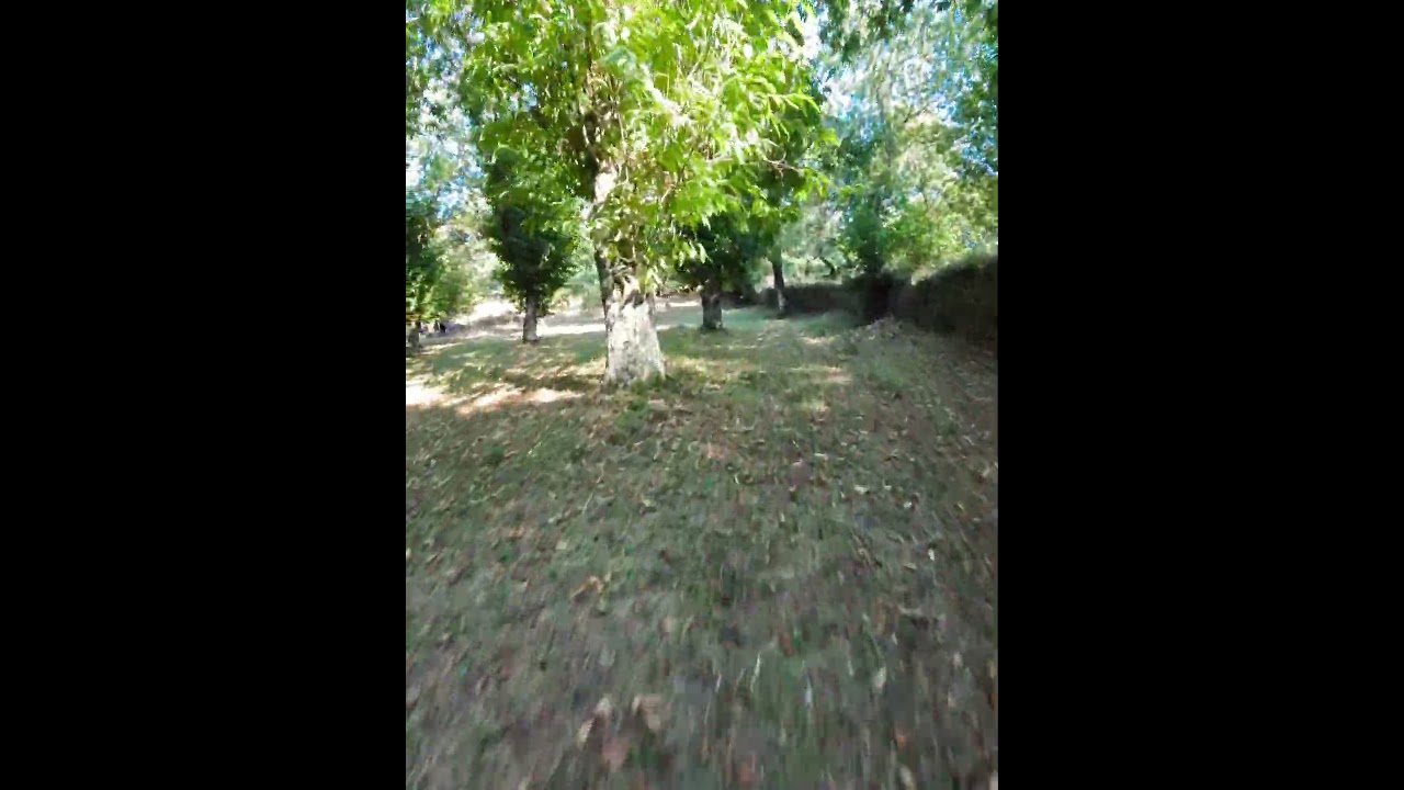 #fpv #fpvdrone #fpvlife #fpvflying #farinsframe #TankHD #gopro10black #gopro #teamblacksheepfpv