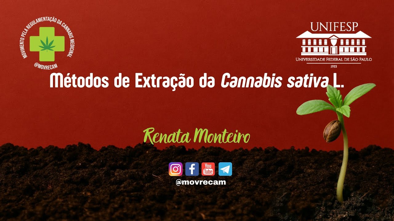 34&ordf; aula: M&eacute;todos de Extra&ccedil;&atilde;o da Cannabis sativa L. - Renata Monteiro