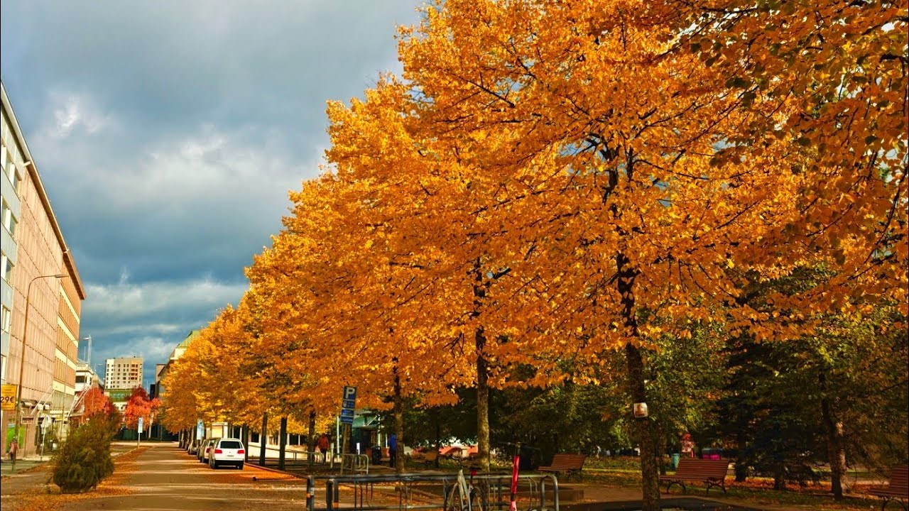 Autumn in Jyväskylä 