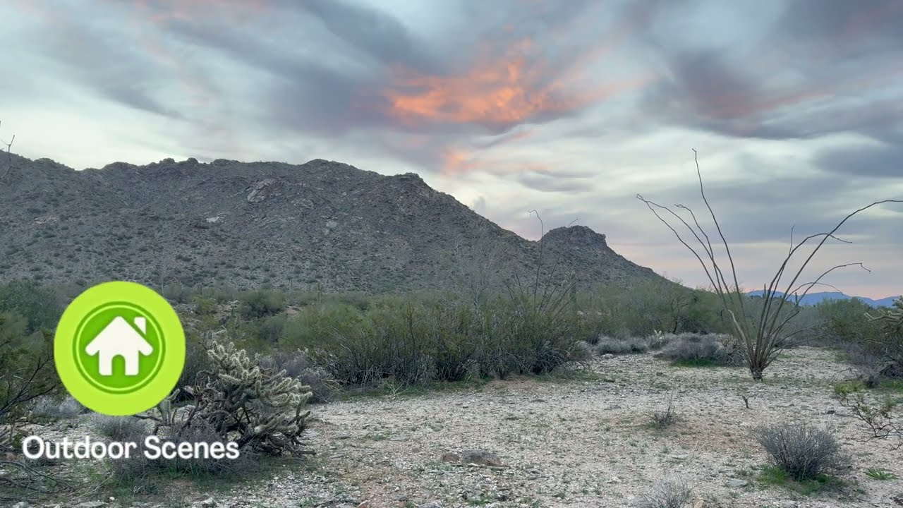 Sonoran Desert Sunrise | Relax and Enjoy