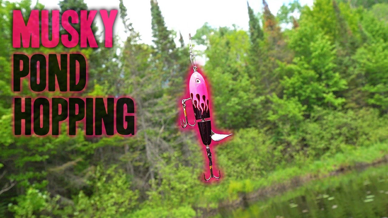 3 Musky Lakes in One Day - Northern Wisconsin Musky Fishing!!