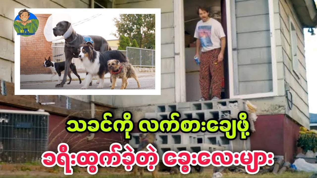 သခင်ကိုလက်စားချေဖို့ ခရီးထွက်ခဲ့တဲ့ ခွေးလေးများ|Strays 2023