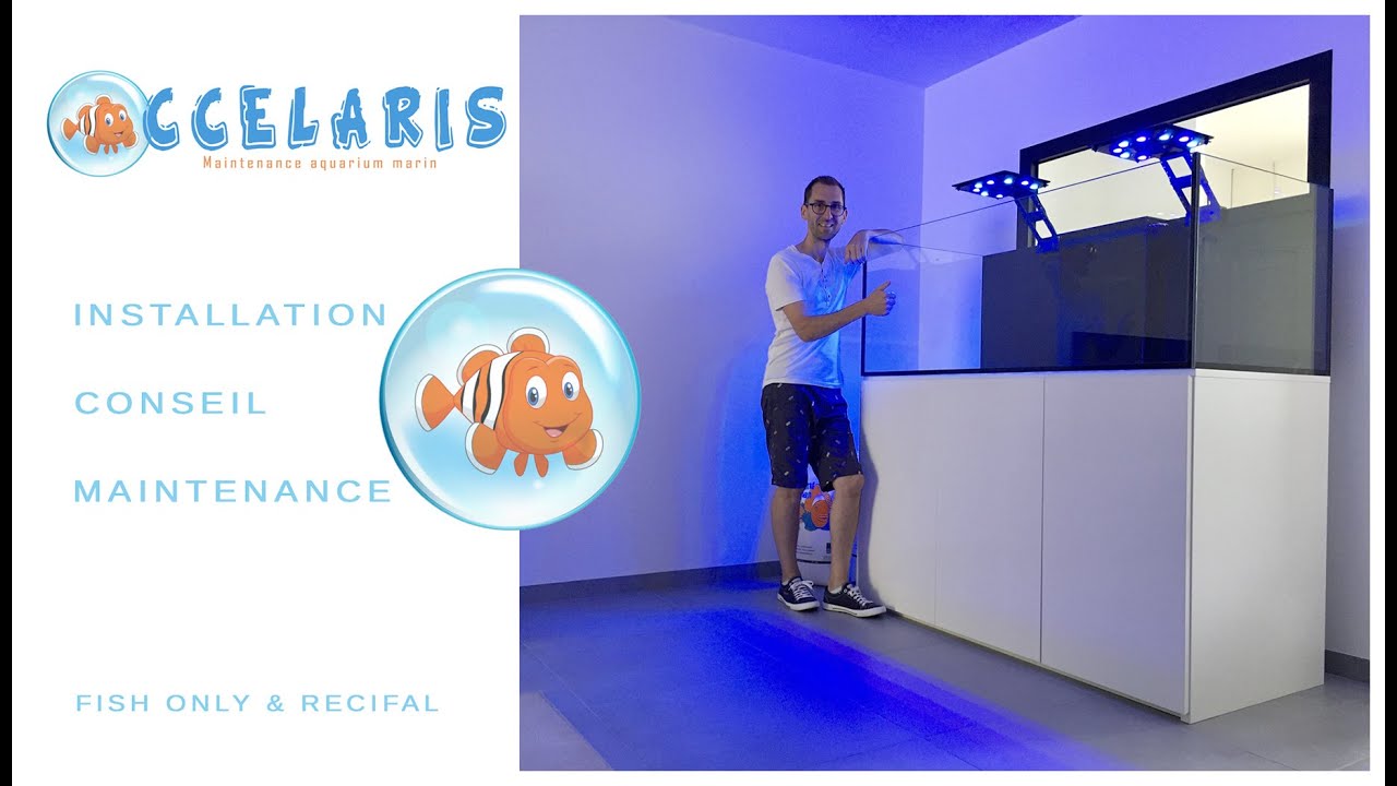 INSTALLATION AQUARIUM MARIN 600L chez OCCELARIS !!!