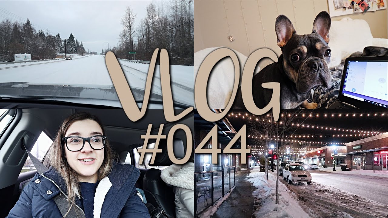Vlog #044 || christmas activities, lots of snow, guitar covers, and more!