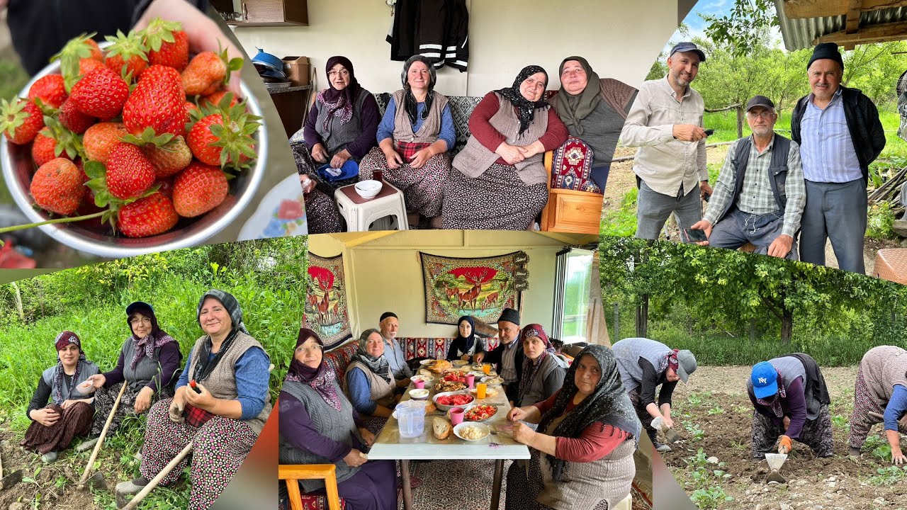 Çilekleri topladık otları kazdık bayram tıraşlarını yaptık sohbet muhabbet ettik daha ne olsun ☺️☺️
