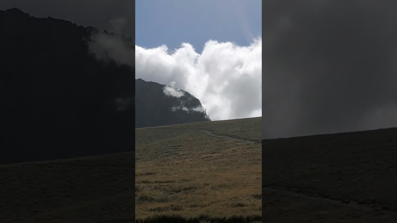 Mouson plateau mount 