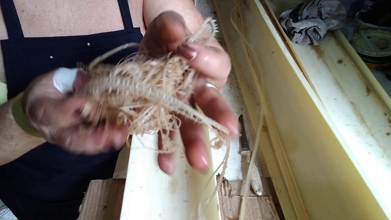 dica especial sobre as fibras de bananeira