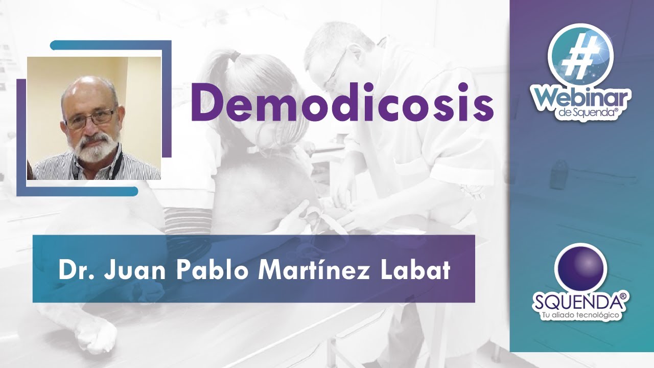 Demodicosis - Dr. Juan Pablo Martínez Labat