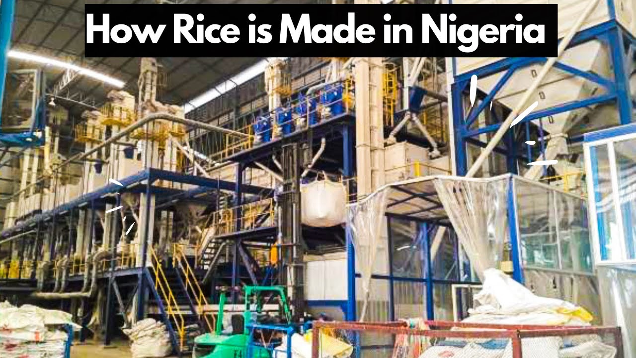 How RICE is PRODUCED In Nigeria. BIGGEST Rice Mill in Nigeria