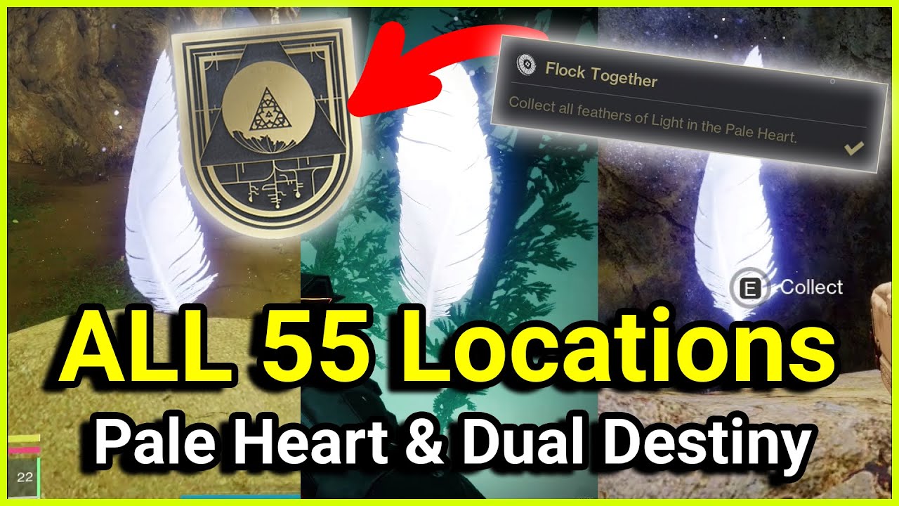 All 55 Feather of Light Locations Pale Heart Secrets Flock Together Triumph