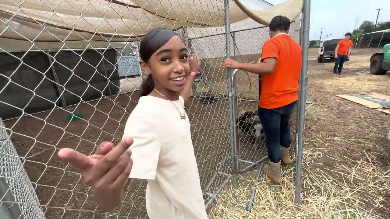Mora They Not Finna Eat You Scary 😂❕| J&K Petting Live Animals 🐐💝 @JKSHOW1992 @tommysquadgirlz5908
