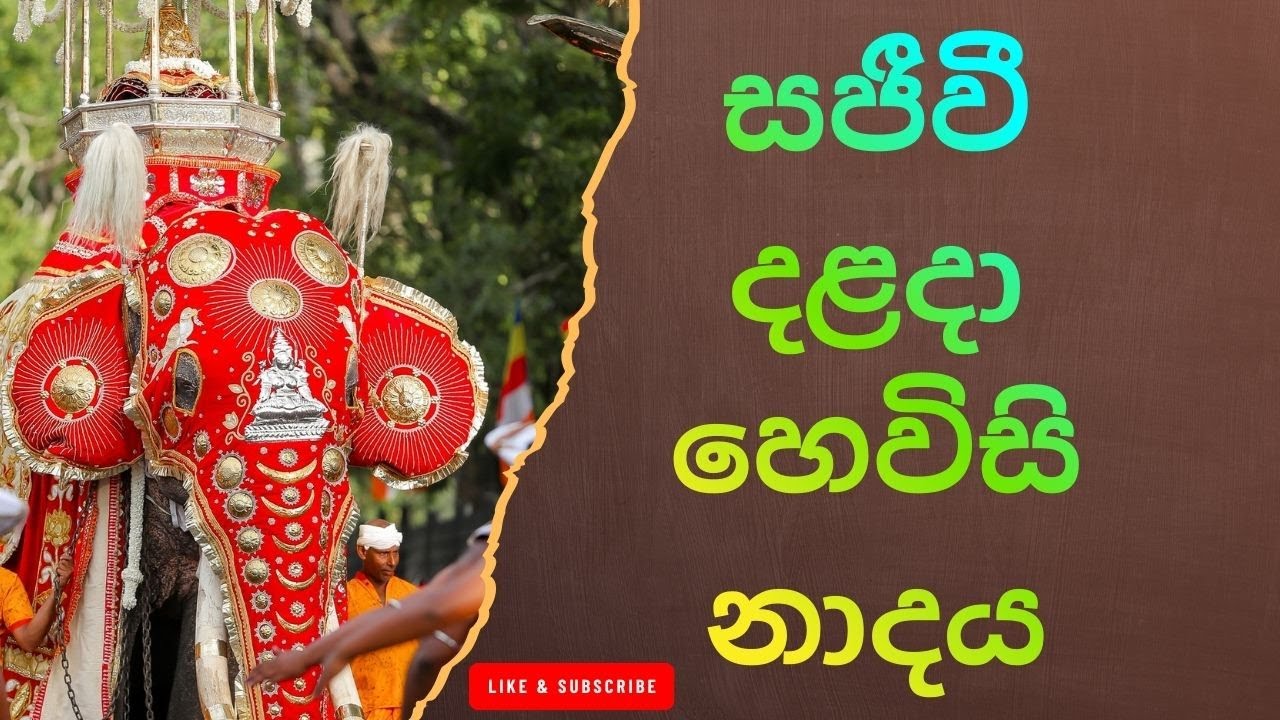 හෙවිසි නාදය: සිත් සන්සුන් කරන පූජනීය නාදය Kandy Hewisi Performance – Dalada Maligawa Highlight