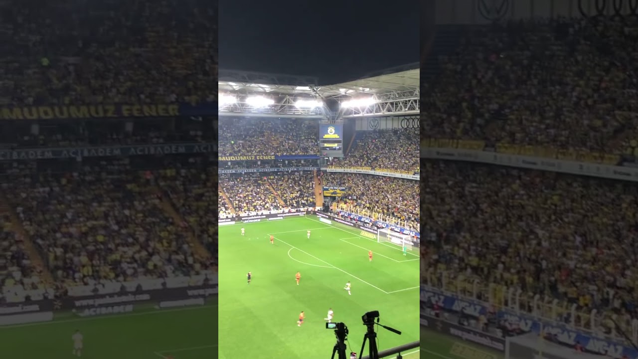 Fenerbahçe Başakşehir tribün #fenerbahçe #tribün