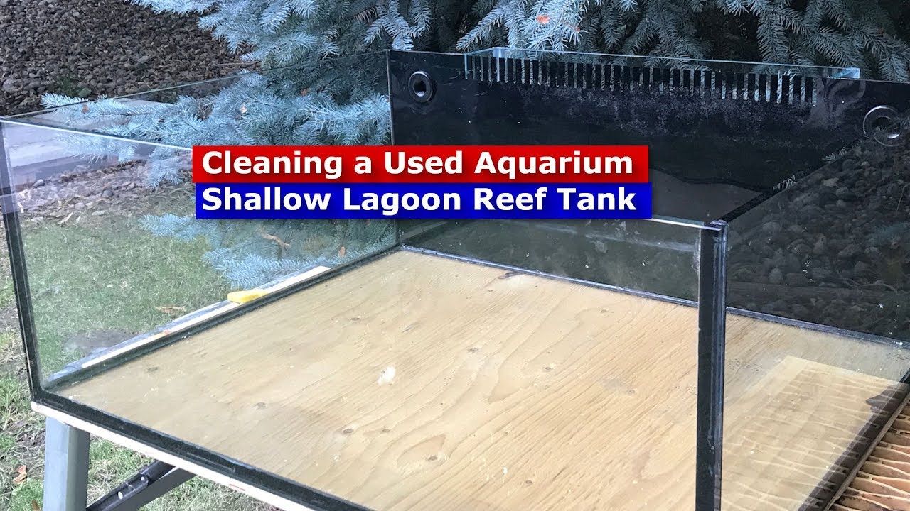Cleaning up a used Aquarium - The Shallow Lagoon Reef Office tank!