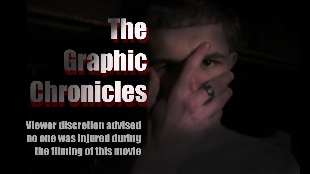 The Graphic Chronicles 2