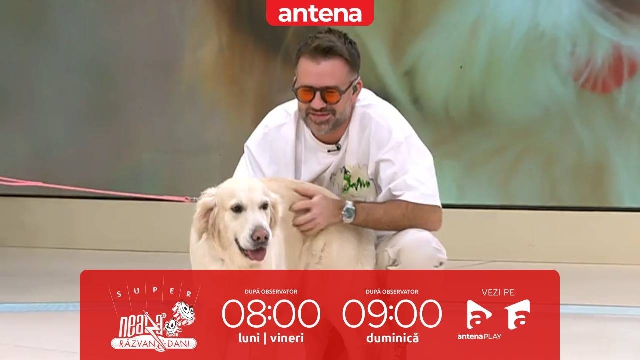 Cum alegem câinele potrivit pentru stilul nostru de viață | Dr. Carmen Totolici