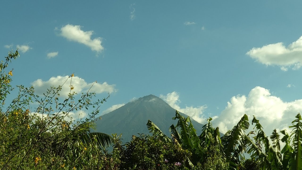 day in the life (antigua, school, nature)