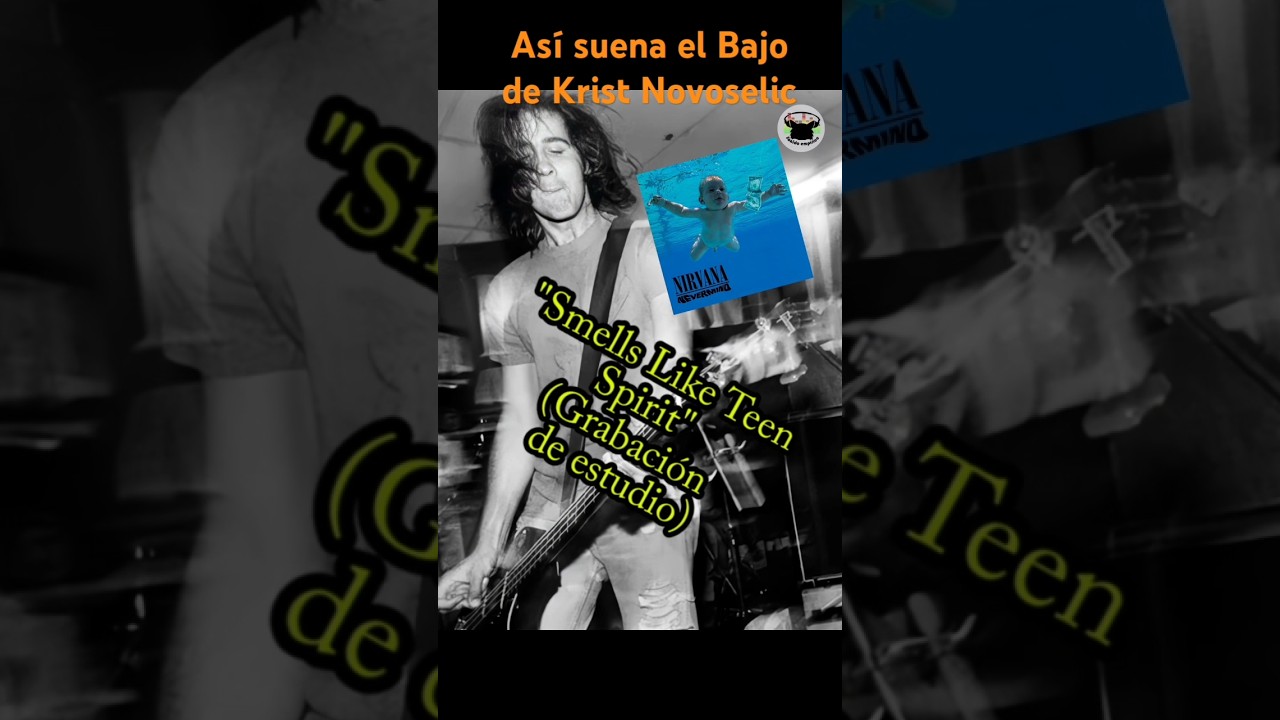 🔥🎸As&iacute; suena el Bajo de Krist Novoselic en NEVERMIND#kristnovoselic #bass #nirvana #fans #nevermind