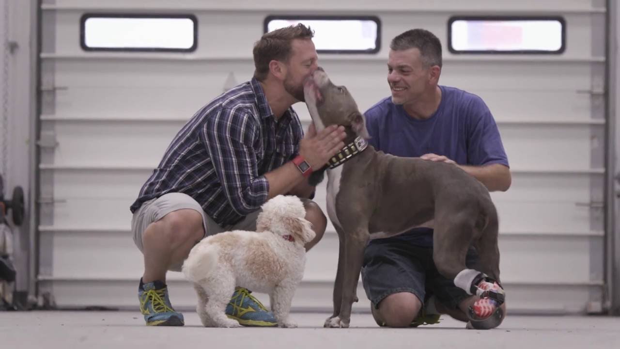 Injured Rescue Puppy Gets New Plastic Paw, Becomes Therapy Dog