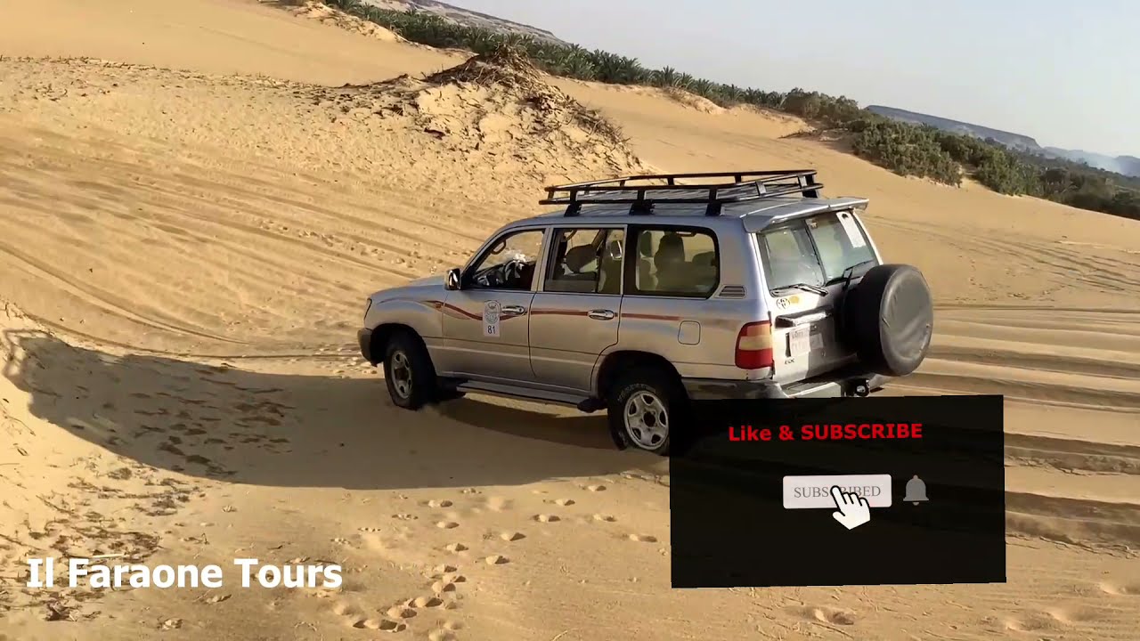 Uncovering the Secrets of Bahariya Oasis and Gebel Maghrafa